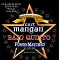 Bajo Quinto Stainless
